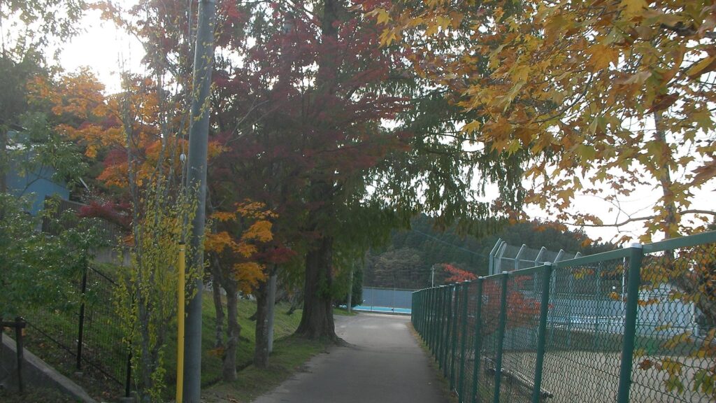 富谷中学校のグラウンド脇の小道。フェンス越しにコートが見え、紅葉した木が並ぶ