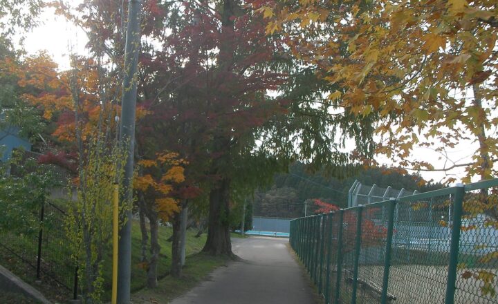 富谷中学校のグラウンド脇の小道。フェンス越しにコートが見え、紅葉した木が並ぶ