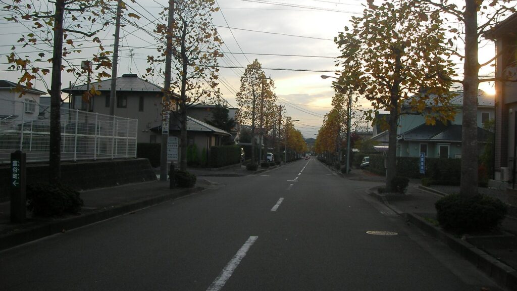 日吉台中学校の通学路。住宅街の直線道路に街路樹が並び、夕方の光が差す