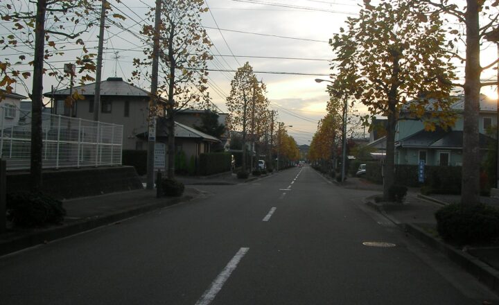 日吉台中学校の通学路。住宅街の直線道路に街路樹が並び、夕方の光が差す