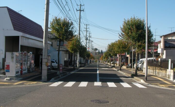 富谷市内の通りに面した個人商店。歩道沿いに自動販売機が並び、まっすぐな道が続く