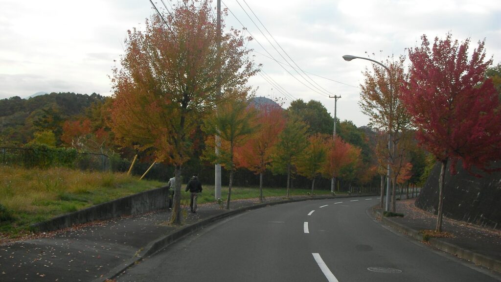 大富団地の南西出口。紅葉した街路樹の並ぶ道を人が歩いている