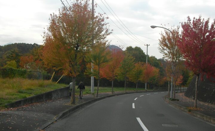 大富団地の南西出口。紅葉した街路樹の並ぶ道を人が歩いている