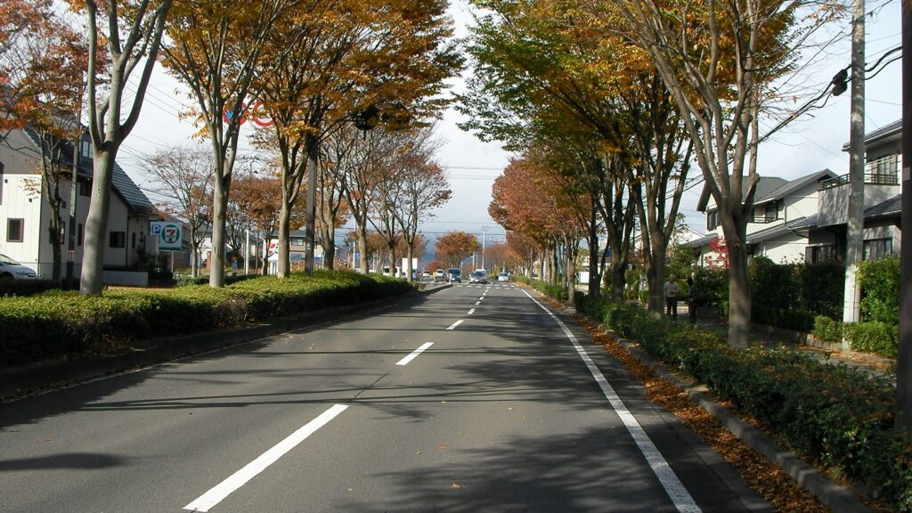 明石台の街路樹に挟まれた道路。センターラインがなく、両側に住宅が並ぶ