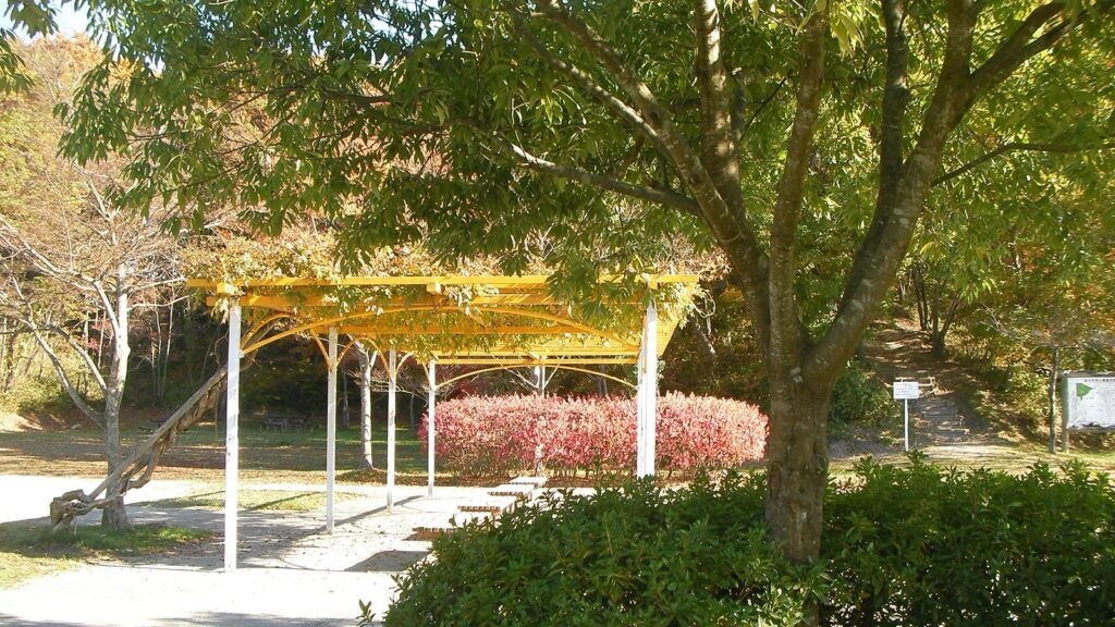 秋のあけの平公園。紅葉した木々と遊歩道