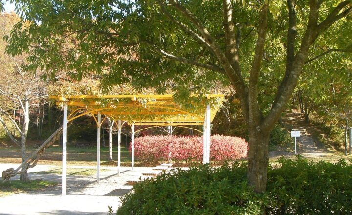 秋のあけの平公園。紅葉した木々と遊歩道