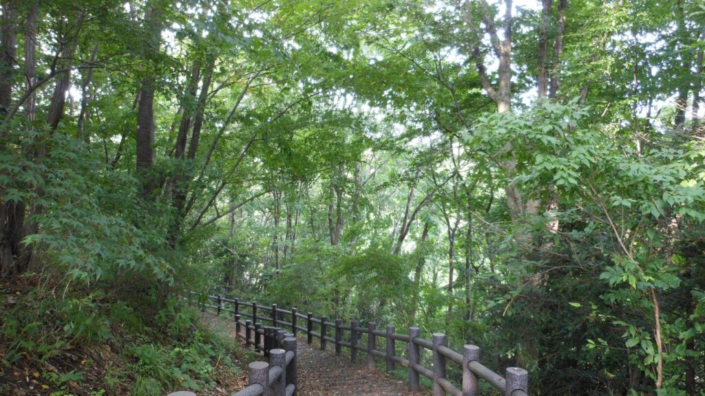 成田東公園の遊歩道。木立の中に木製の柵と土の道が続く