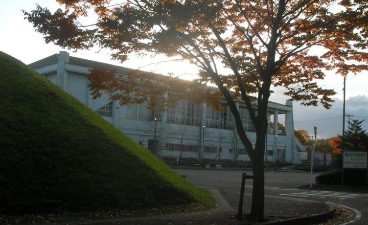 富谷市総合運動公園の体育館。手前に芝の土手と紅葉した木