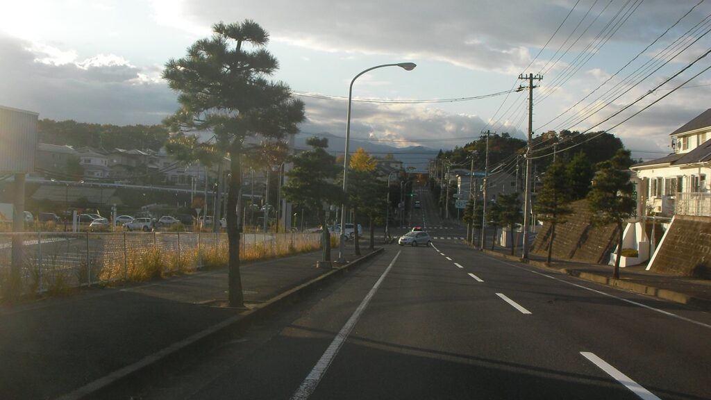 富谷市総合運動公園前の国道4号。街路樹と電柱が並び、道が奥へ続く