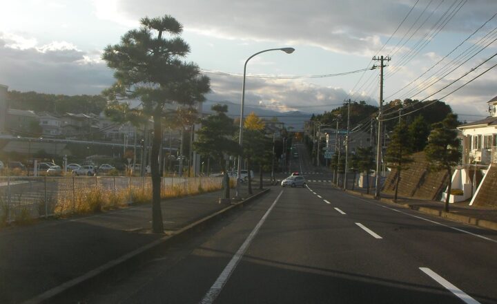 富谷市総合運動公園前の国道4号。街路樹と電柱が並び、道が奥へ続く